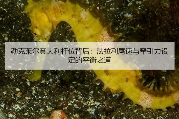 lei-ke-lai-er-yi-da-li-gan-wei-bei-hou-fa-la-li-wei-su-yu-qian-yin-li-she-ding-de-ping-heng-zhi-dao-2-613.jpg